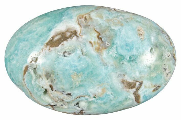 Polished Blue Caribbean Calcite Palm Stone #275595